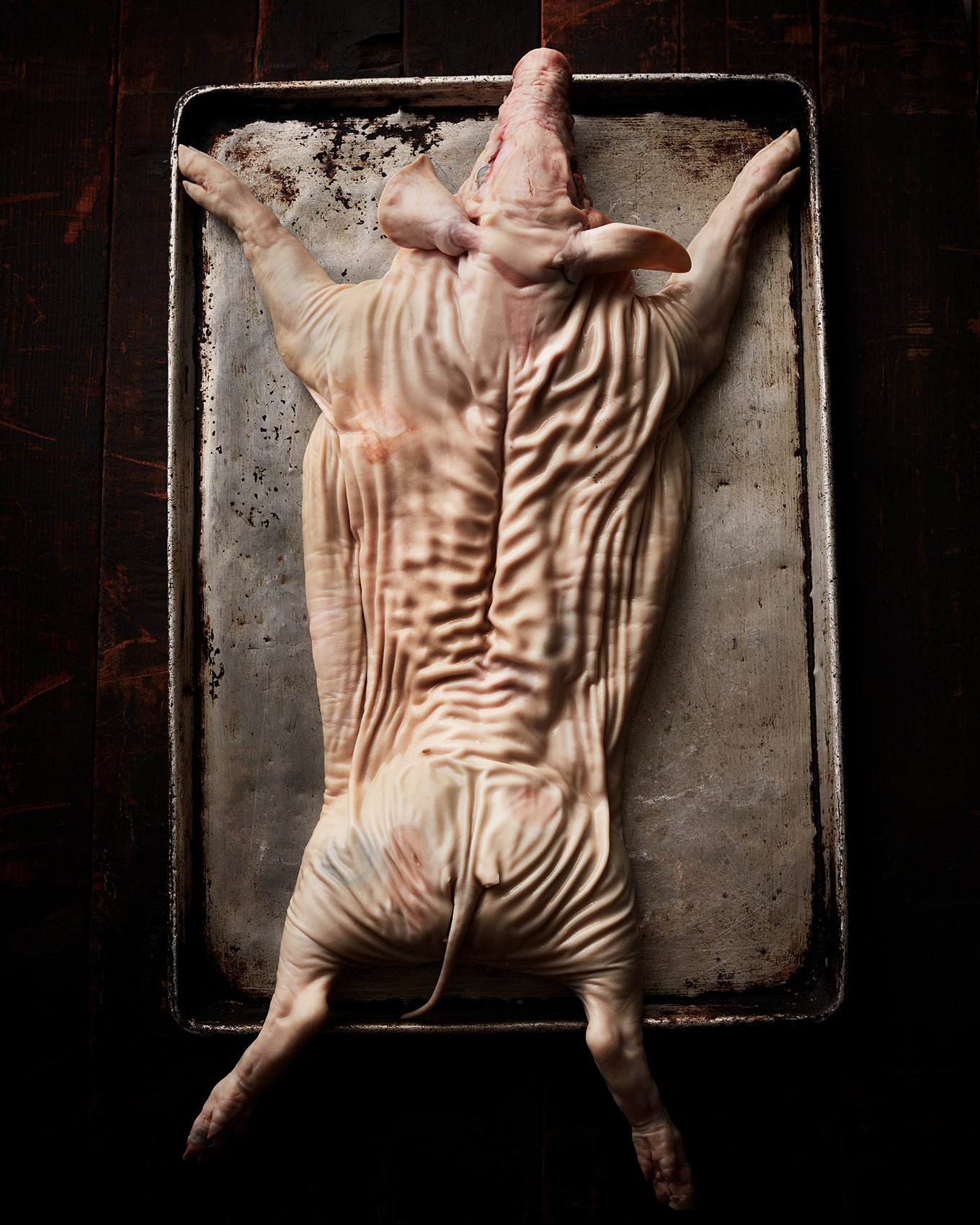 overhead view of a whole pig getting ready to be roasted